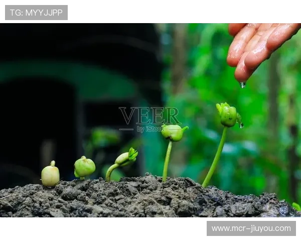 肥沃创新土壤培育 滋养赛事执行持续进化